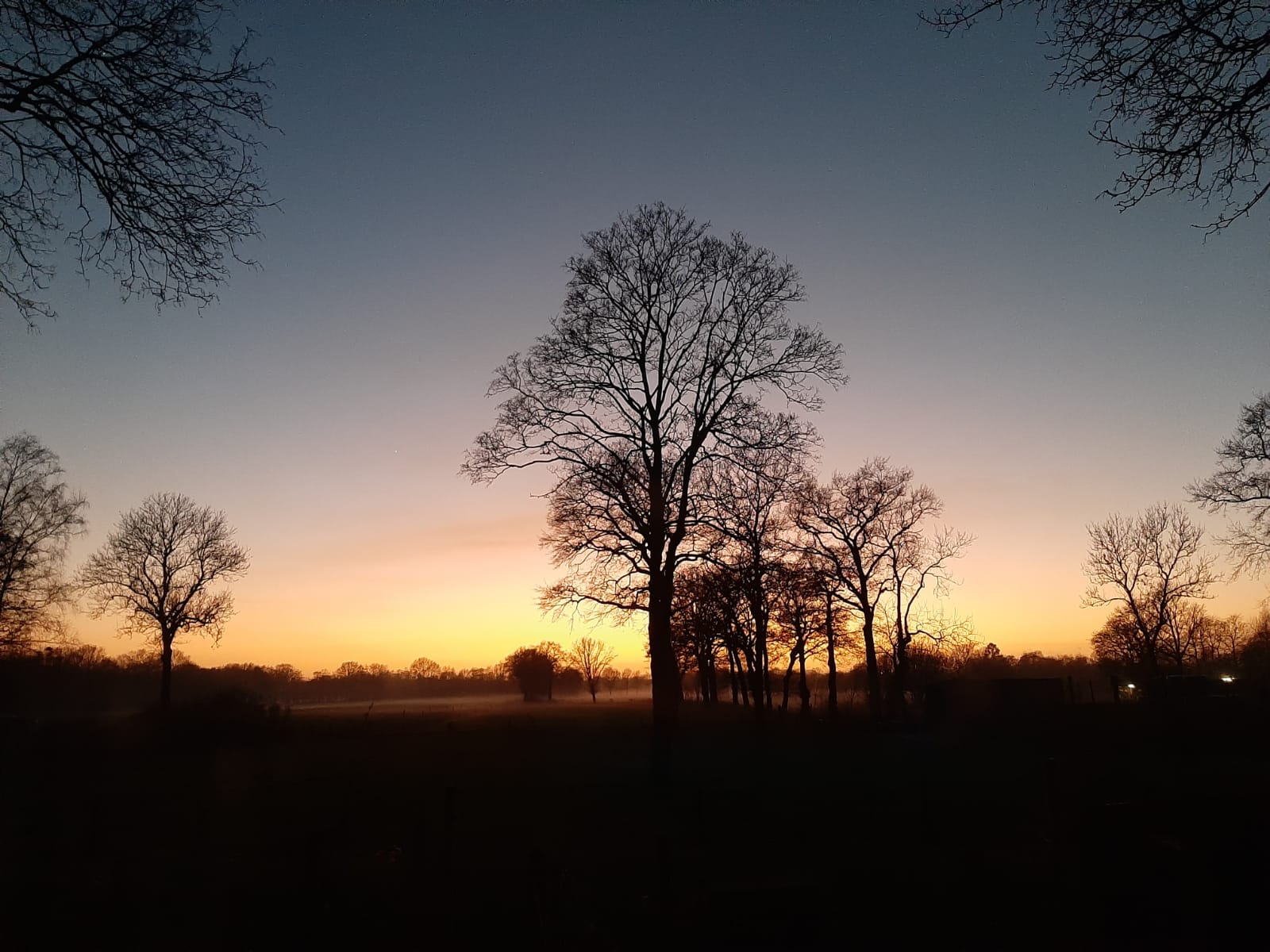 Friesländische Landschaft bei Sonnenuntergang — Pflege in vertrauter Umgebung